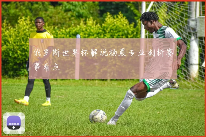 俄罗斯世界杯解说杨晨专业剖析赛事看点