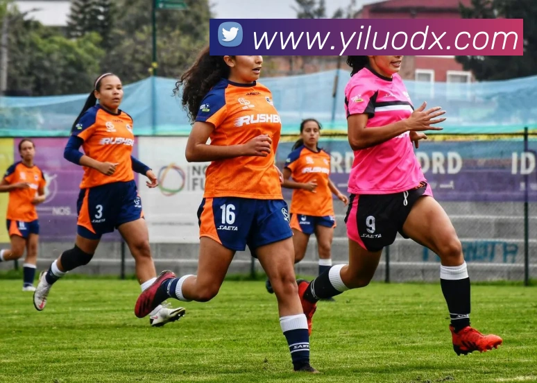 必一运动体育官网发展历程